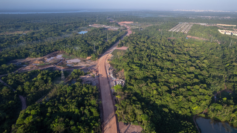 deforestation from roads and industry in the Amazon