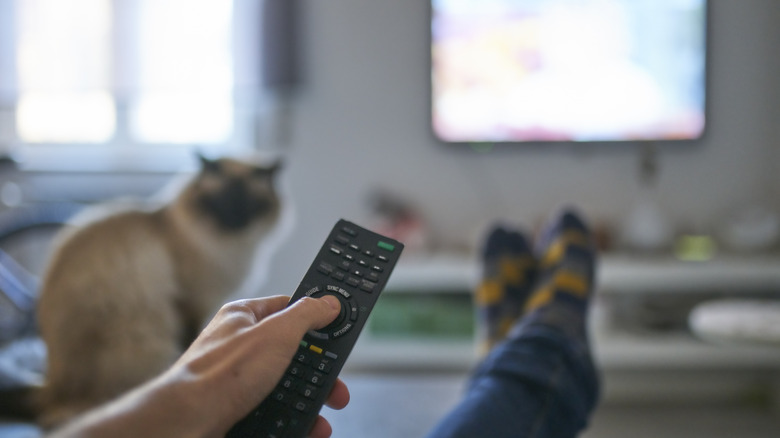 person watching tv with a remote in his hand