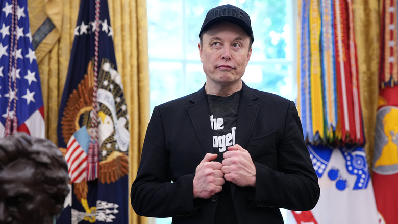 Elon Musk in the White House