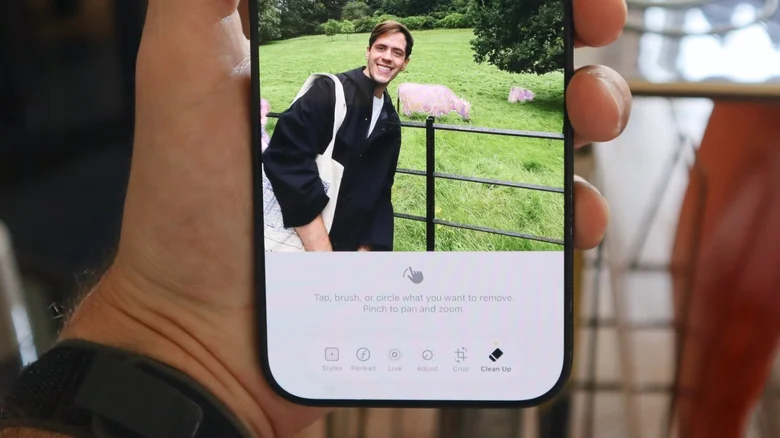 An iPhone screen showing the Clean Up tool in Apple Intelligence editing a photo.