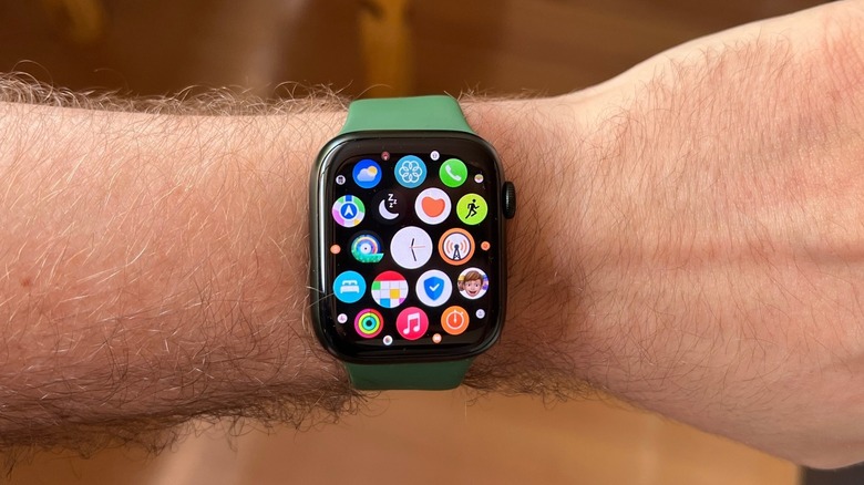 Apple Watch's App View