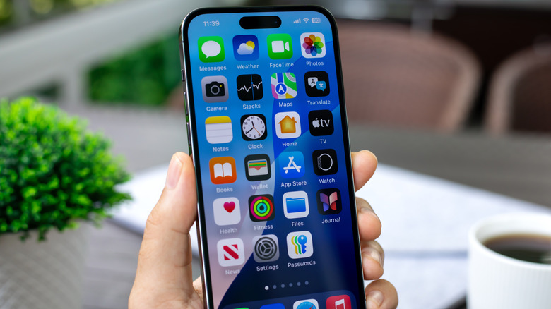 iPhone home screen