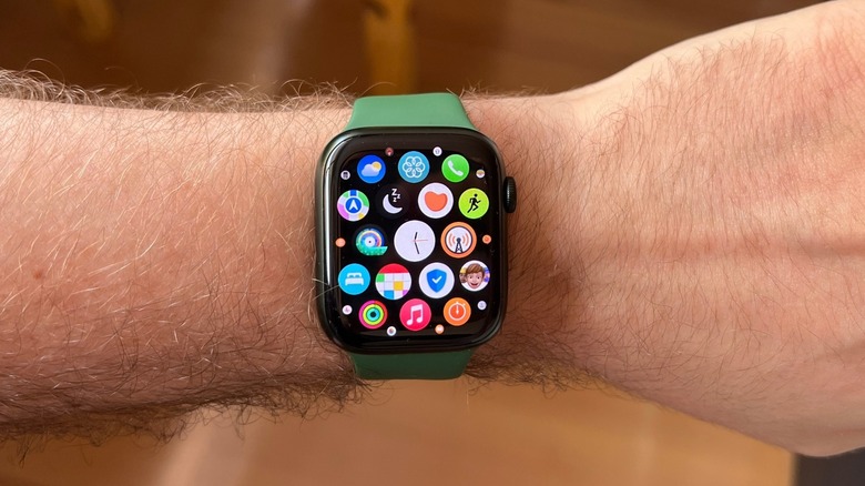 Apple Watch Series 7 app view