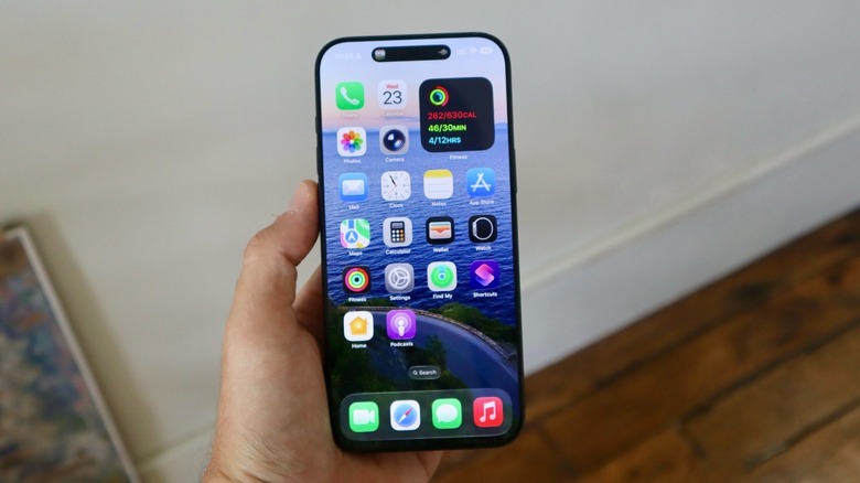 Home screen on an iPhone 16 Pro Max