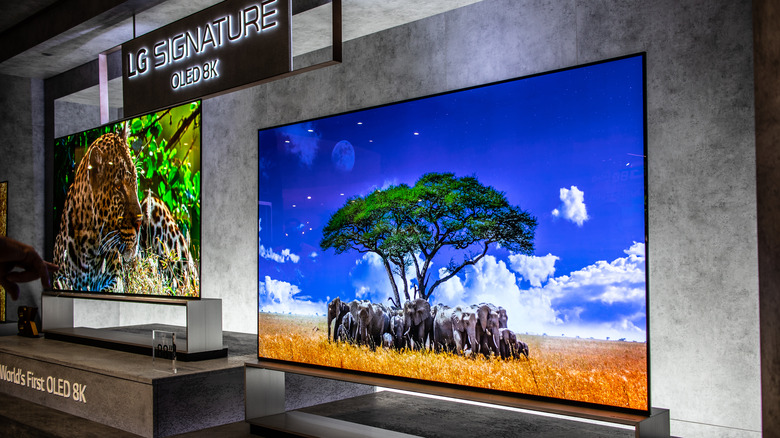 Large wall-mounted TV showing elephants under a tree against a blue sky.