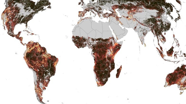 A satellite scan of asynchronous seasonal hotspots on Earth.