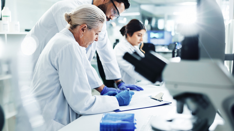 scientists working in a lab, looking at paperwork on a desk