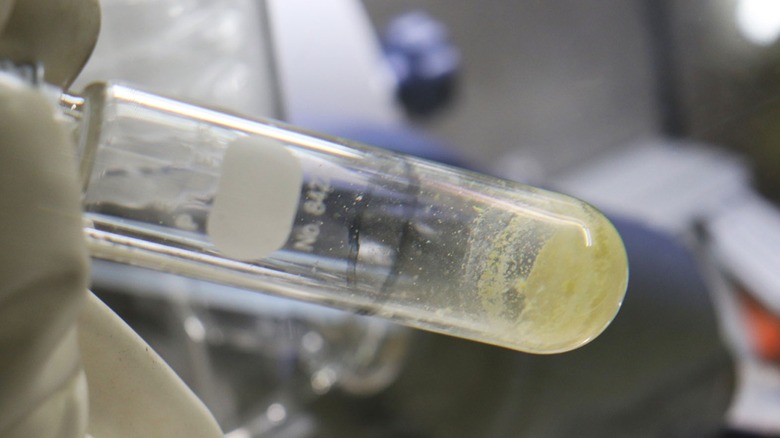 Testtube containing thorium-229 isotopes