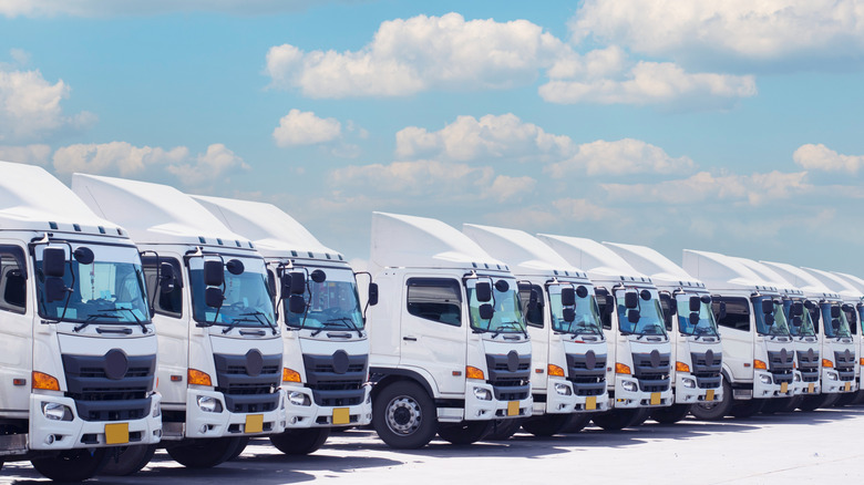 Image of a fleet of trucks on standby, lined up next to each other.