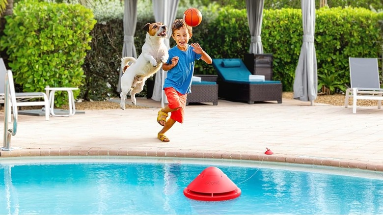 The Lifebuoy BCONE pool alarm in a swimming pool, with a child and a dog nearby.
