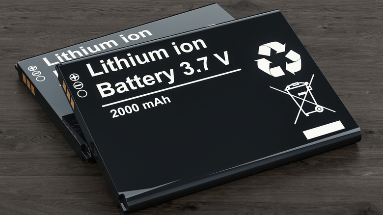 Two lithium-ion batteries