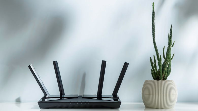 A Wi-Fi router positioned next to a cactus in a pot