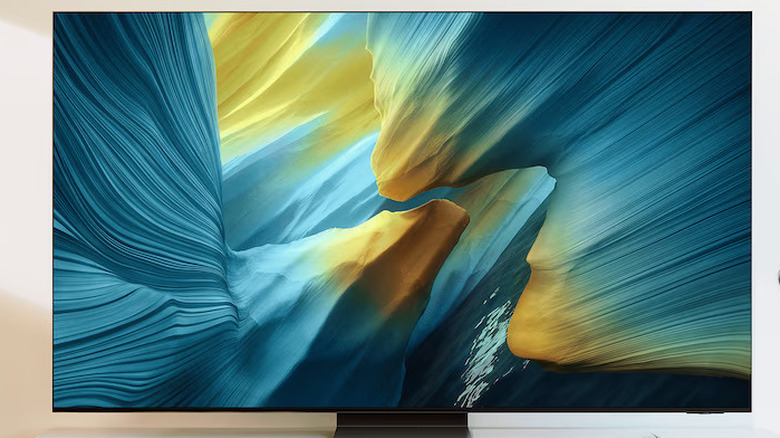 A man and his dog looking at the Samsung S95F OLED