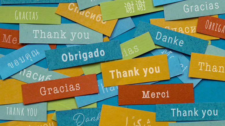 Thank you written on numerous cards of varied color in different languages