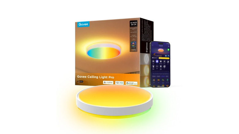 Govee 15-Inch RGBICWW Smart Ceiling Light Pro