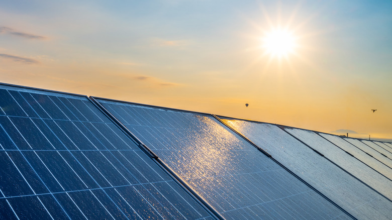 The sun hovers above a row of solar panels