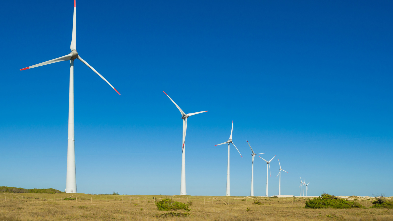 Brazil's Wind Turbines Are Drawing In Unregulated Data Centers - Here's How - bgr.com