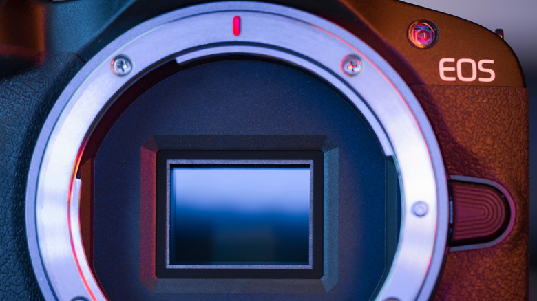 Canon EOS R100 mirrorless camera sensor shown in close-up.