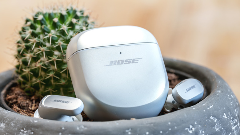 Bose QuietComfort Ultra earbuds with their case in a pot
