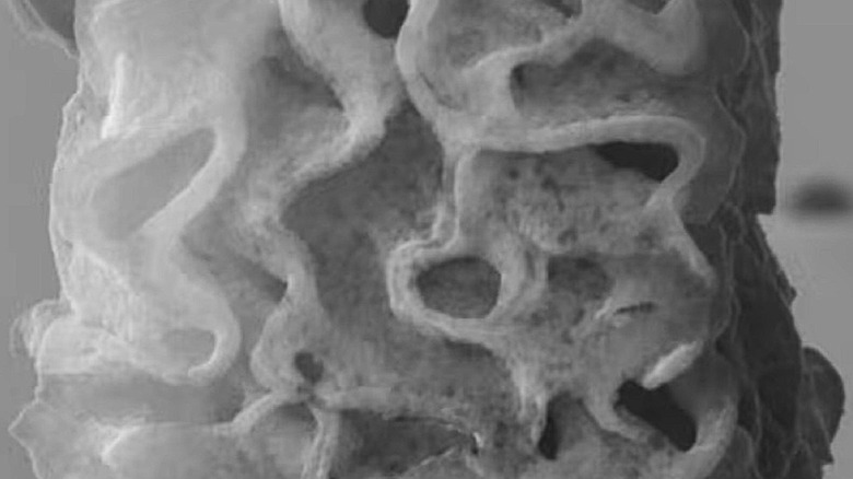 Caltech engineered three-dimensional metal nanoparticle close-up with defects visible.