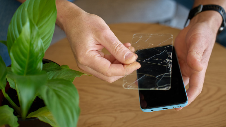 A user removing a cracked screen protector from a smarpthone.
