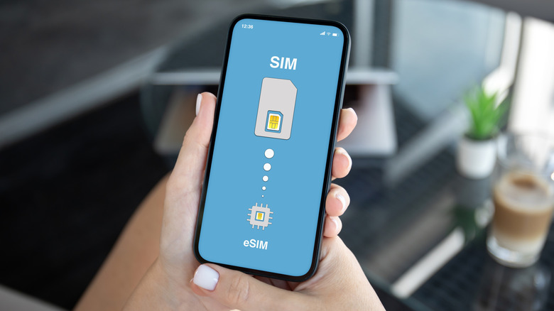 Travelers source cellular service from eSIM providers while on their journeys.