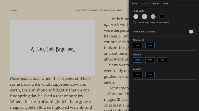 Kindle app showing customization options for iPad