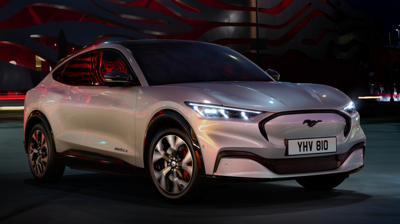 The Ford Mustang Mach-E standing on the road