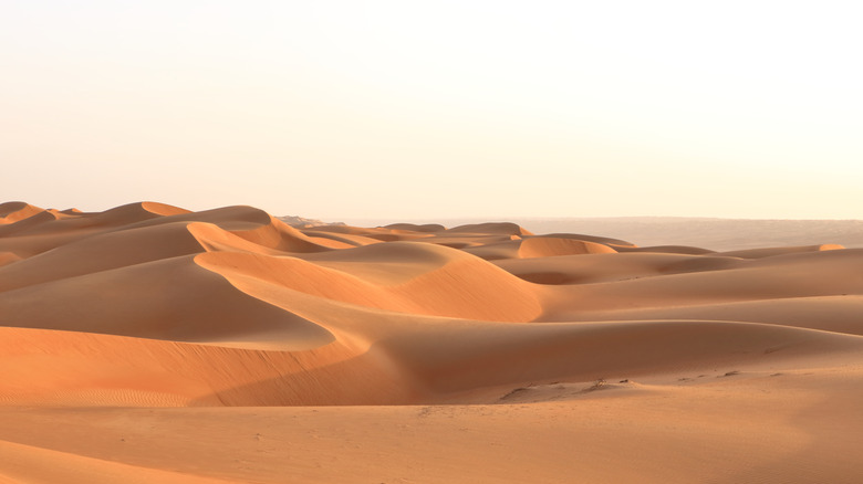 landscape view of the desert sand dunes, clear sky in the background
