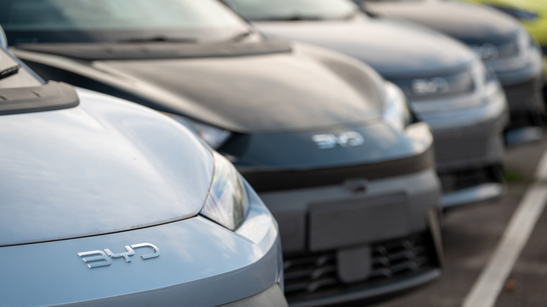 A group of gray BYD electric vehicles lined up in a parking lot, with the BYD logo visible on the front fender of each car.
