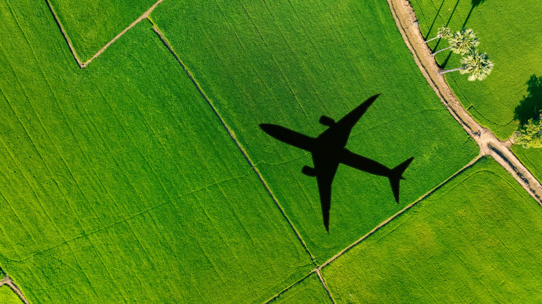 The shadow of a modern airliner against a green field, symbolizing green fuel solutions
