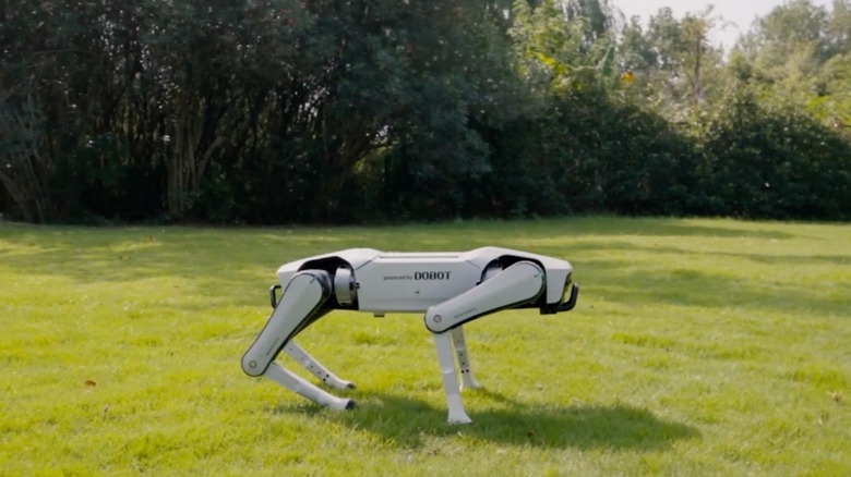 Quadruped robot in a park