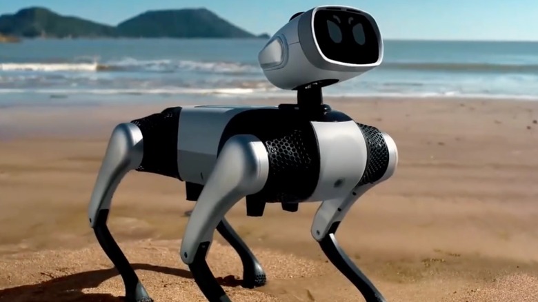 Vita Dynamics' quadruped robot at the beach