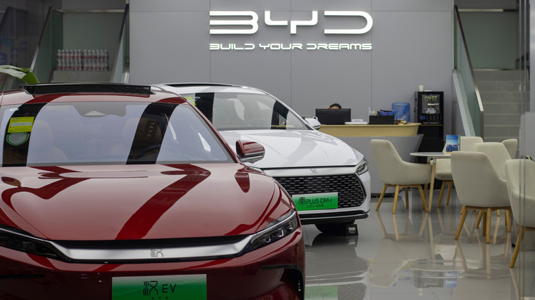 Chinese BYD electric vehicles displayed in a showroom