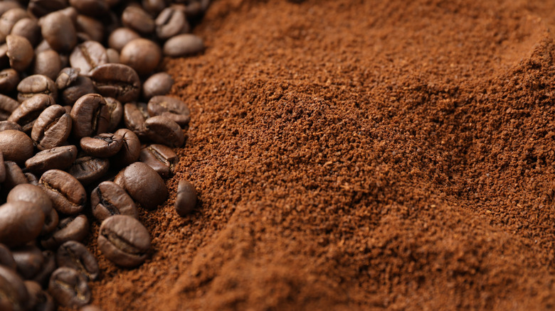 coffee beans and grounds