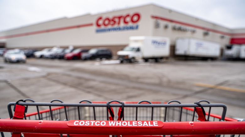 Front of a Costco, looking down the top of a shopping cart.