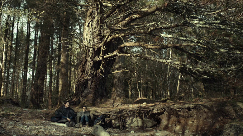 David and his lover sitting under a giant tree in the woods
