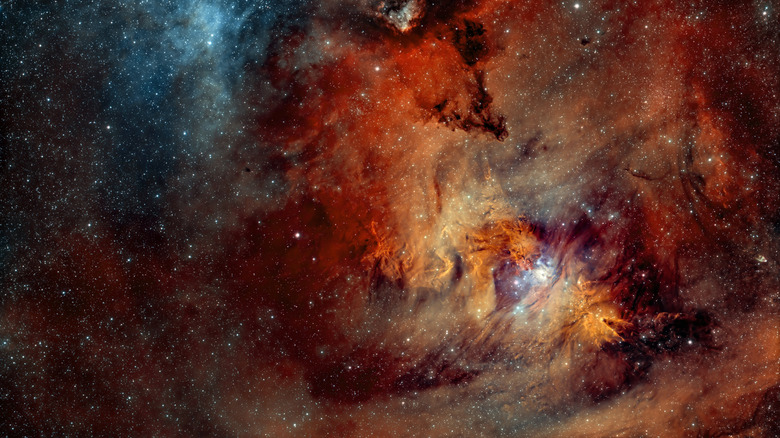 the christmas tree cluster in space