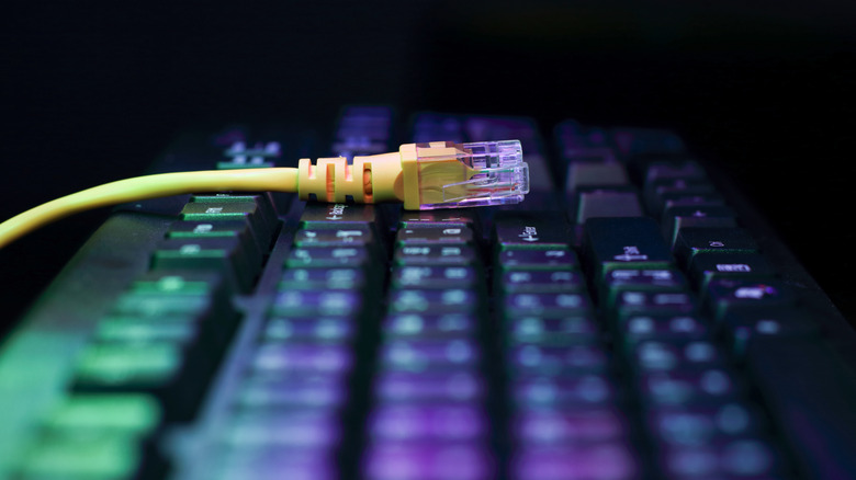 Close up of a network cable resting atop an RGB-lit keyboard with a dark background.