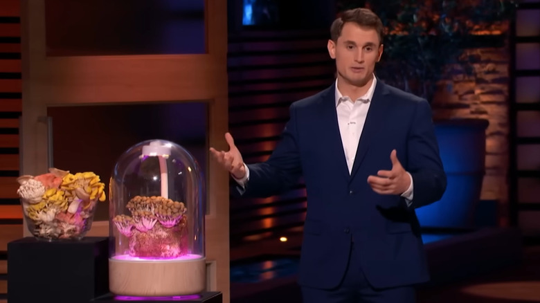 Terrashroom founder Jared Steele presenting his product, a mushroom growing chamber, on Shark Tank