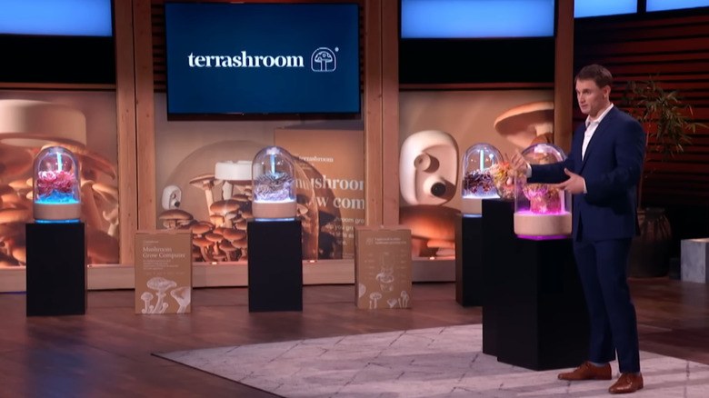 Wideshot of Terrashroom founder Jared Steele presenting his product, a mushroom growing chamber, on Shark Tank