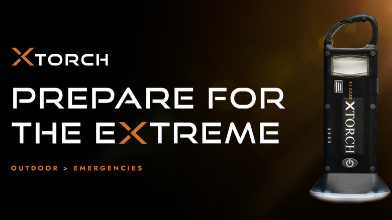 XTorch online banner