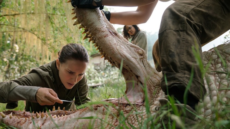 Natalie Portman checking a tooth of a crocodile in Annihilation