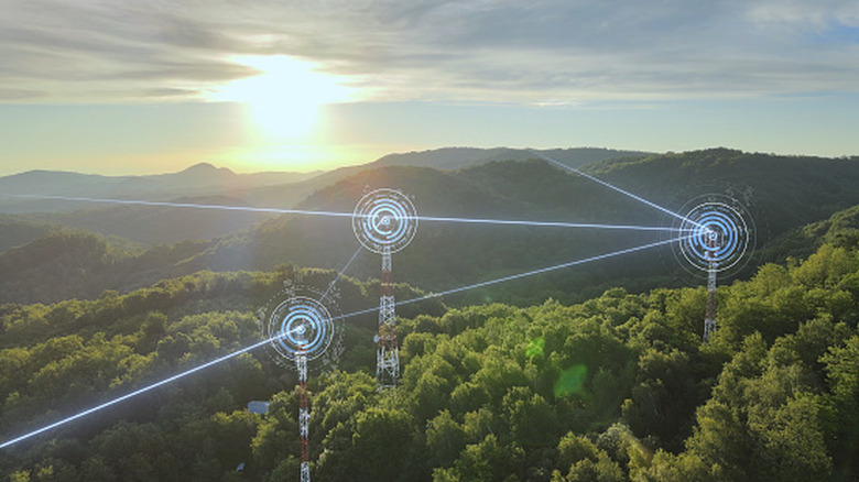Visualization of wireless communication in the wilderness.