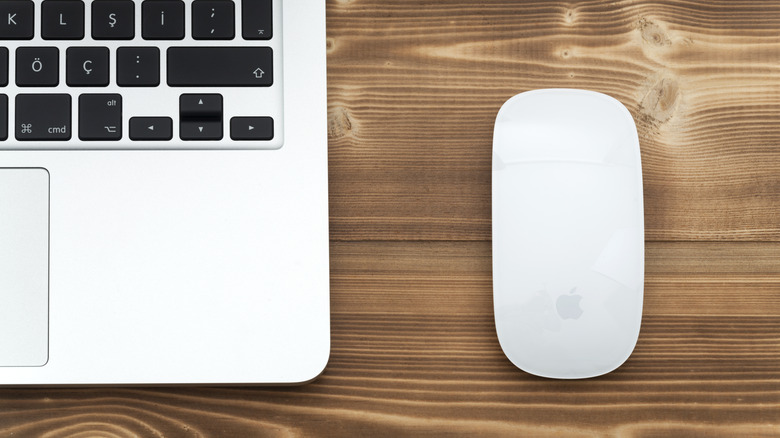 The Apple Magic Mouse next to a MacBook Pro laptop