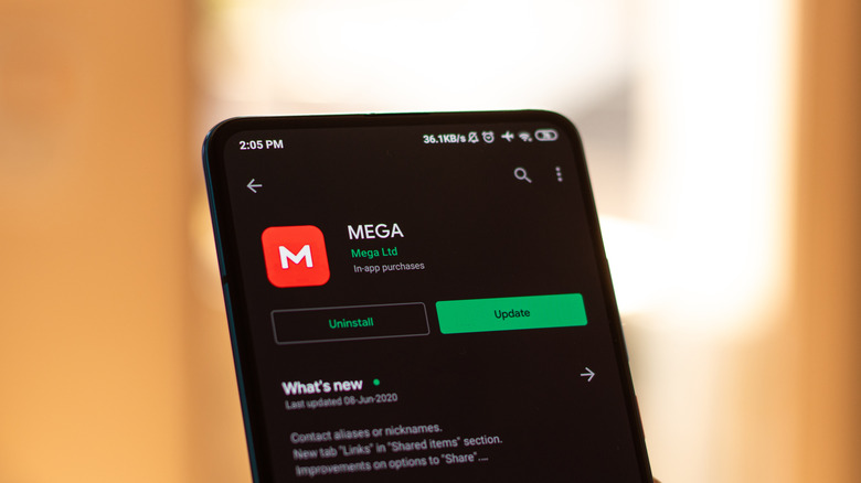 smartphone with MEGA app icon and app information page open.