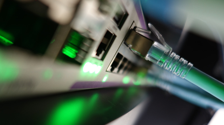 Ethernet cable into a switch