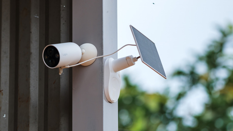 TP-Link Tapo outdoor security camera with solar panel for charging.
