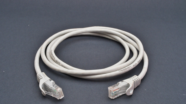 A coiled Ethernet cable.