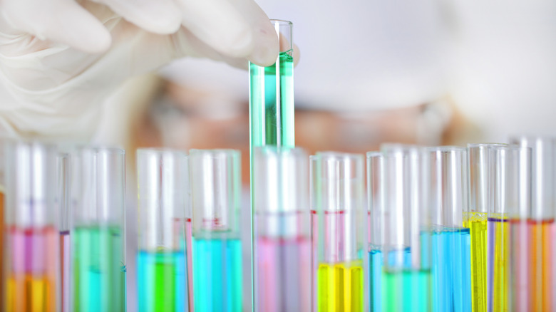 A series of test tubes with different chemicals in them.